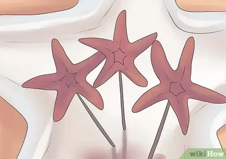 Imagen titulada Preserve a Starfish for a Decoration Step 11