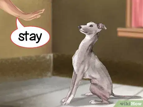 Imagen titulada Care for an Italian Greyhound Step 4