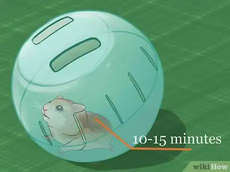 Imagen titulada Have Fun With Your Hamster Step 18