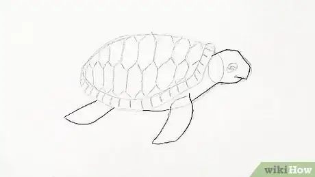 Imagen titulada Draw a Turtle Step 16