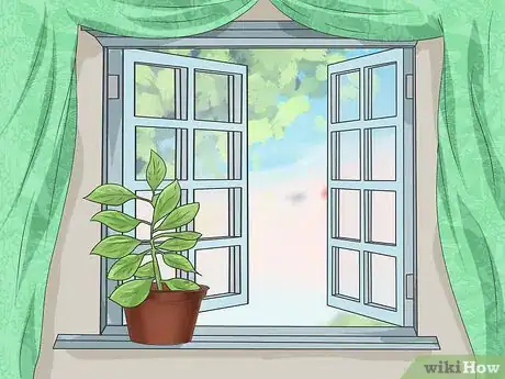 Imagen titulada Bring Plants Indoors over Winter Step 8