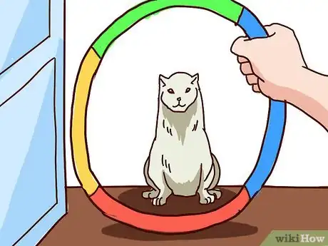 Imagen titulada Train Your Ferrets to Do Tricks Step 28