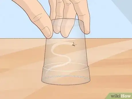 Imagen titulada Avoid Mosquito Bites Step 15