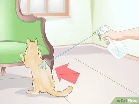 Imagen titulada Use a Spray Bottle on a Cat for Training Step 3