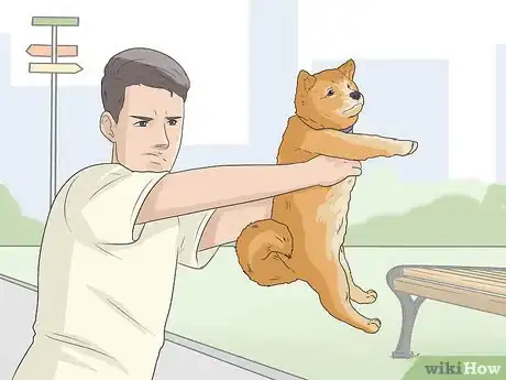 Imagen titulada Train a Shiba Inu Step 15