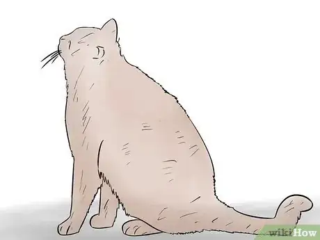 Imagen titulada Train Your Cat to Sit Step 8