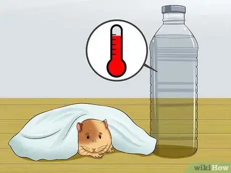 Imagen titulada Get a Hamster out of Hibernation Step 6