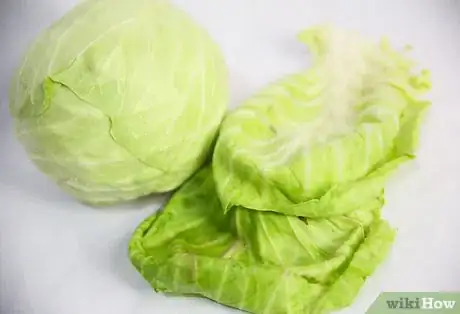 Imagen titulada Select and Store Cabbage Step 8