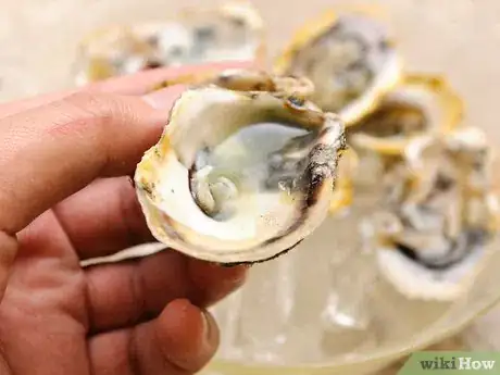 Imagen titulada Shuck Oysters Step 13