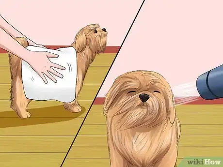 Imagen titulada Bathe a Shih Tzu Puppy Step 12