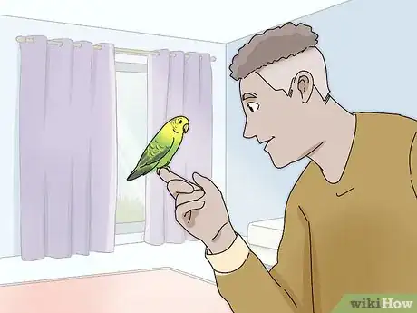 Imagen titulada Stop a Parakeet from Biting Step 7