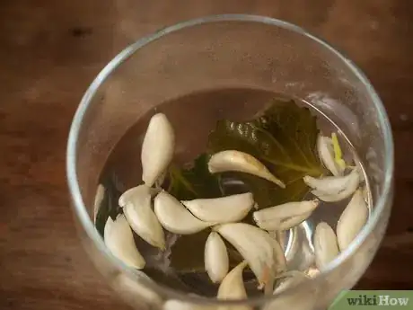 Imagen titulada Prepare Oregano Leaves for Cough Medicine Step 9