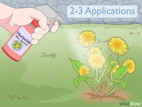 Imagen titulada Get Rid of Dandelions in a Lawn Step 11