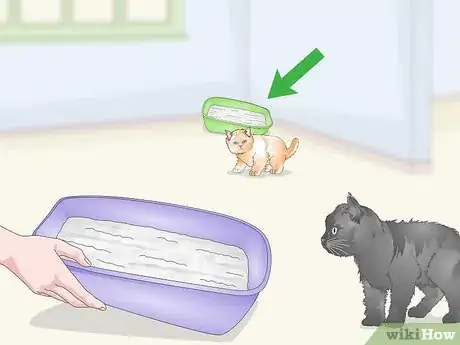 Imagen titulada Eliminate Cat Odors Around the House Step 7