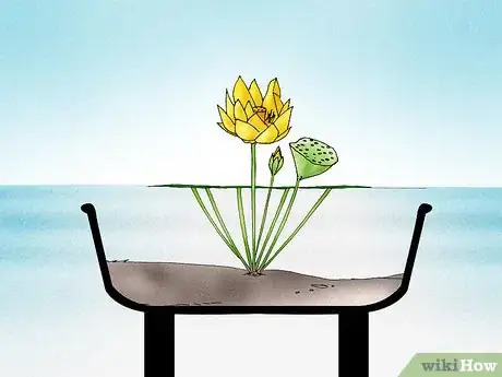 Imagen titulada Make a Lotus Pond Step 11