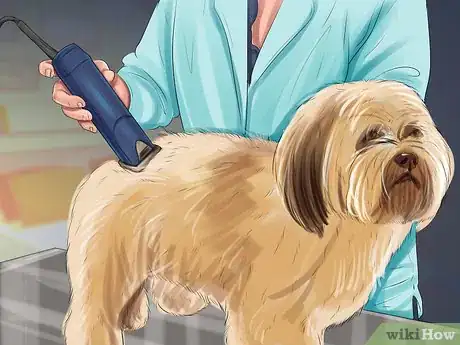 Imagen titulada Puppy Cut a Shih Tzu Step 11