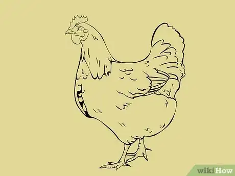 Imagen titulada Draw a Chicken Step 24