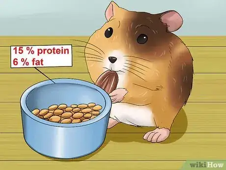 Imagen titulada Tell if a Dwarf Hamster Is Obese Step 8