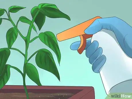 Imagen titulada Grow Bell Peppers Step 17