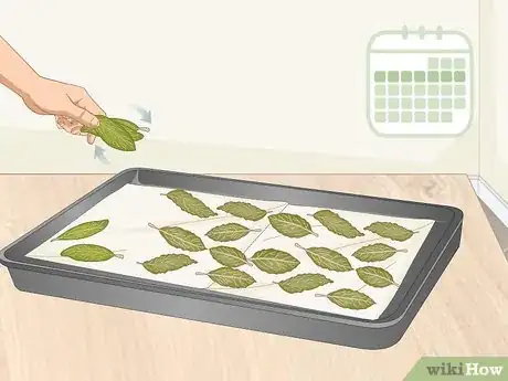 Imagen titulada Dry Bay Leaves Step 4