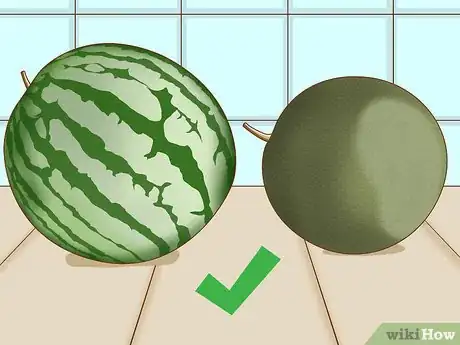 Imagen titulada Tell if a Watermelon Is Bad Step 2