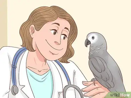 Imagen titulada Feed an African Grey Parrot Step 9