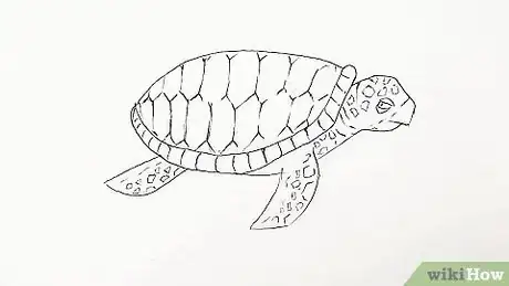 Imagen titulada Draw a Turtle Step 17