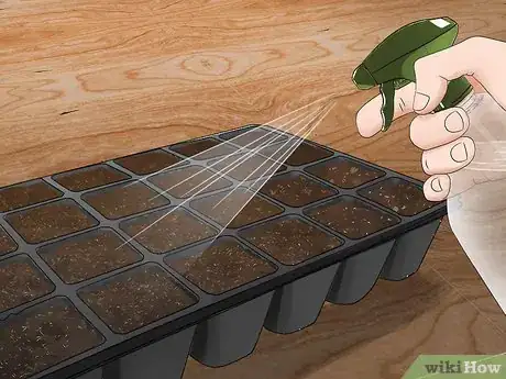 Imagen titulada Grow Jalapenos in a Pot Step 14