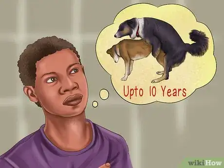 Imagen titulada Know when to Stop Breeding a Male Dog Step 1