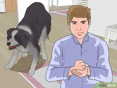 Imagen titulada Teach Your Dog to Herd Step 3