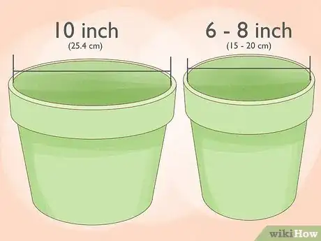 Imagen titulada Grow Geraniums in Pots Step 2