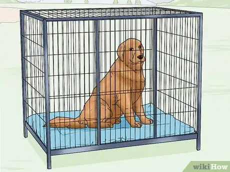 Imagen titulada Care for Golden Retrievers Step 15