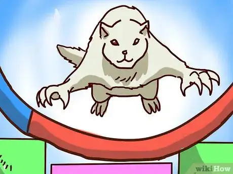 Imagen titulada Train Your Ferrets to Do Tricks Step 32