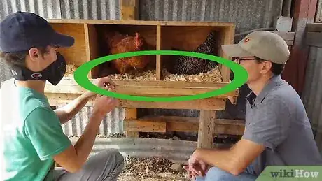 Imagen titulada Clean a Chicken Coop Step 2