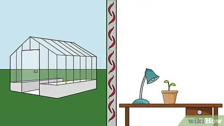 Imagen titulada Grow Chili Peppers Indoors Step 12