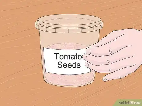 Imagen titulada Grow Tomatoes from Seeds Step 3