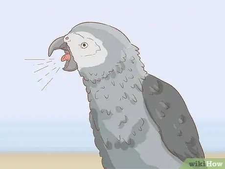 Imagen titulada Treat Respiratory Infections in African Grey Parrots Step 3