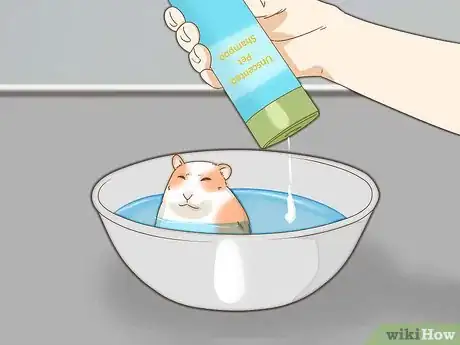 Imagen titulada Give Your Hamster a Bath Step 13