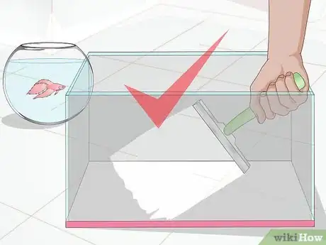 Imagen titulada Set Up a Betta Tank Step 17