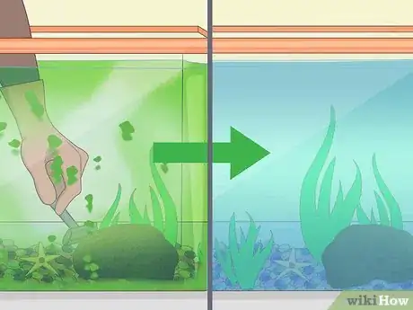 Imagen titulada Clean a Fish Tank Step 13