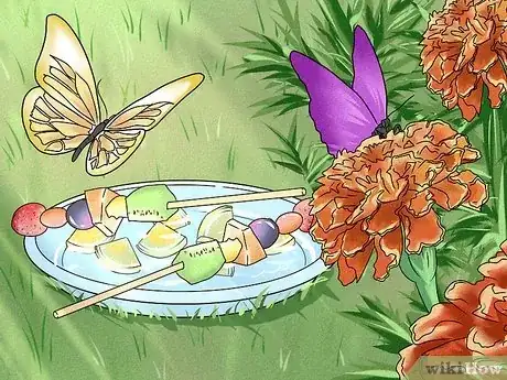 Imagen titulada Make a Butterfly Feeder Step 15