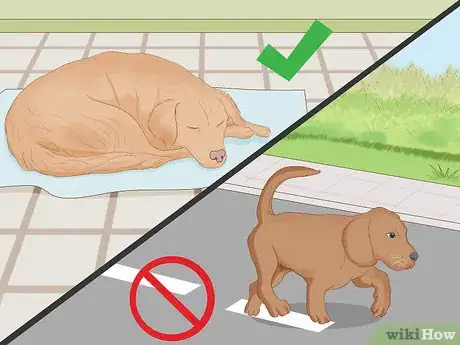 Imagen titulada Identify a Rabid Animal Step 12