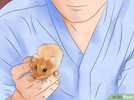 Imagen titulada Get Rid of Mites in Your Hamster's Cage Step 1