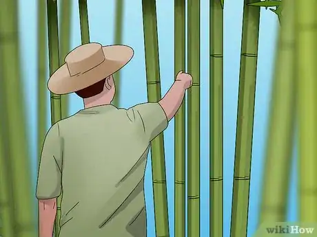 Imagen titulada Cure Bamboo Step 1