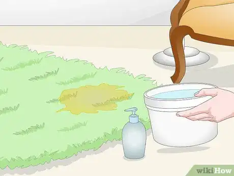 Imagen titulada Find Cat Urine With a UV Light Step 7