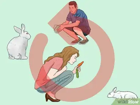 Imagen titulada Teach Your Rabbit to Come when Called Step 9