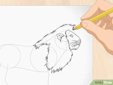 Imagen titulada Draw a Lion Step 8