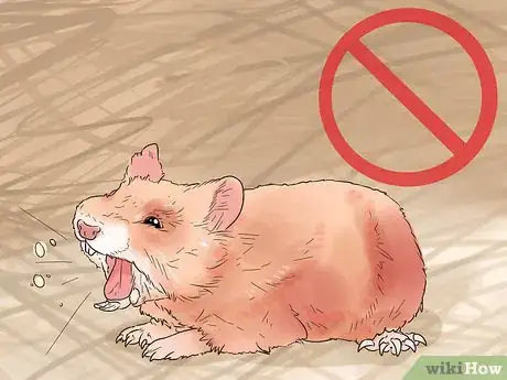 Imagen titulada Avoid Scaring Your Hamster Step 13