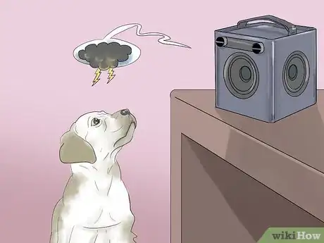 Imagen titulada Calm a Dog During Thunderstorms Step 10