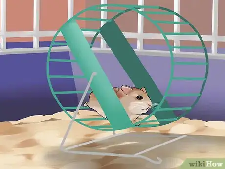 Imagen titulada Have Fun With Your Hamster Step 10